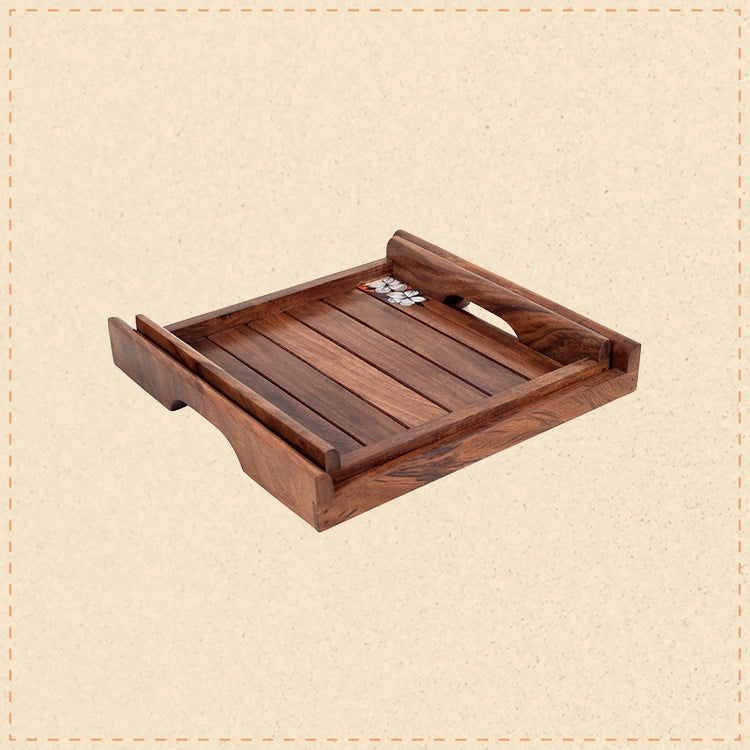 Appetizer Ace Tray