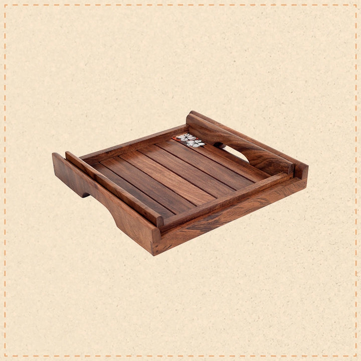 Appetizer Ace Tray