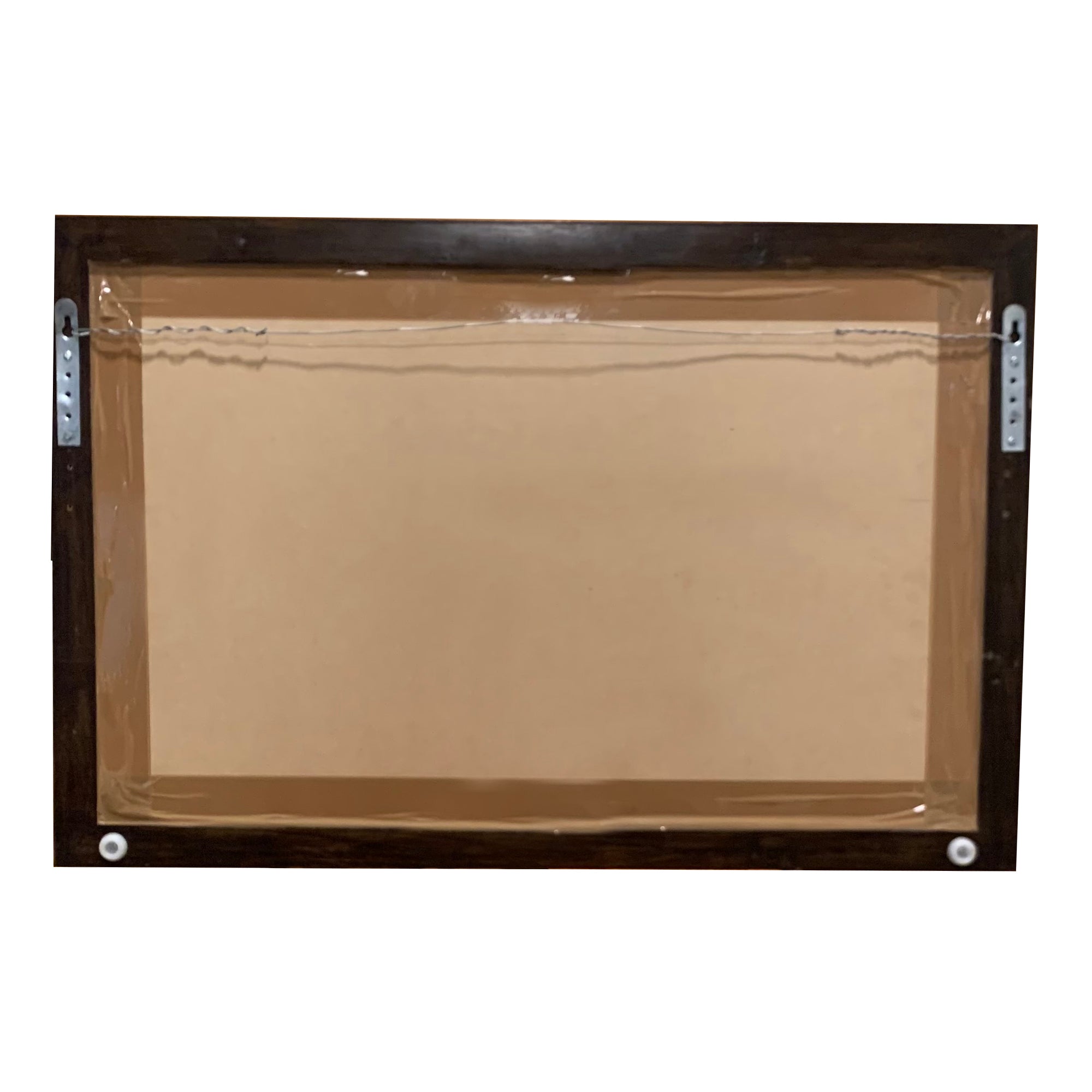 Wall Decor Madhubani Painting Framed with Glass