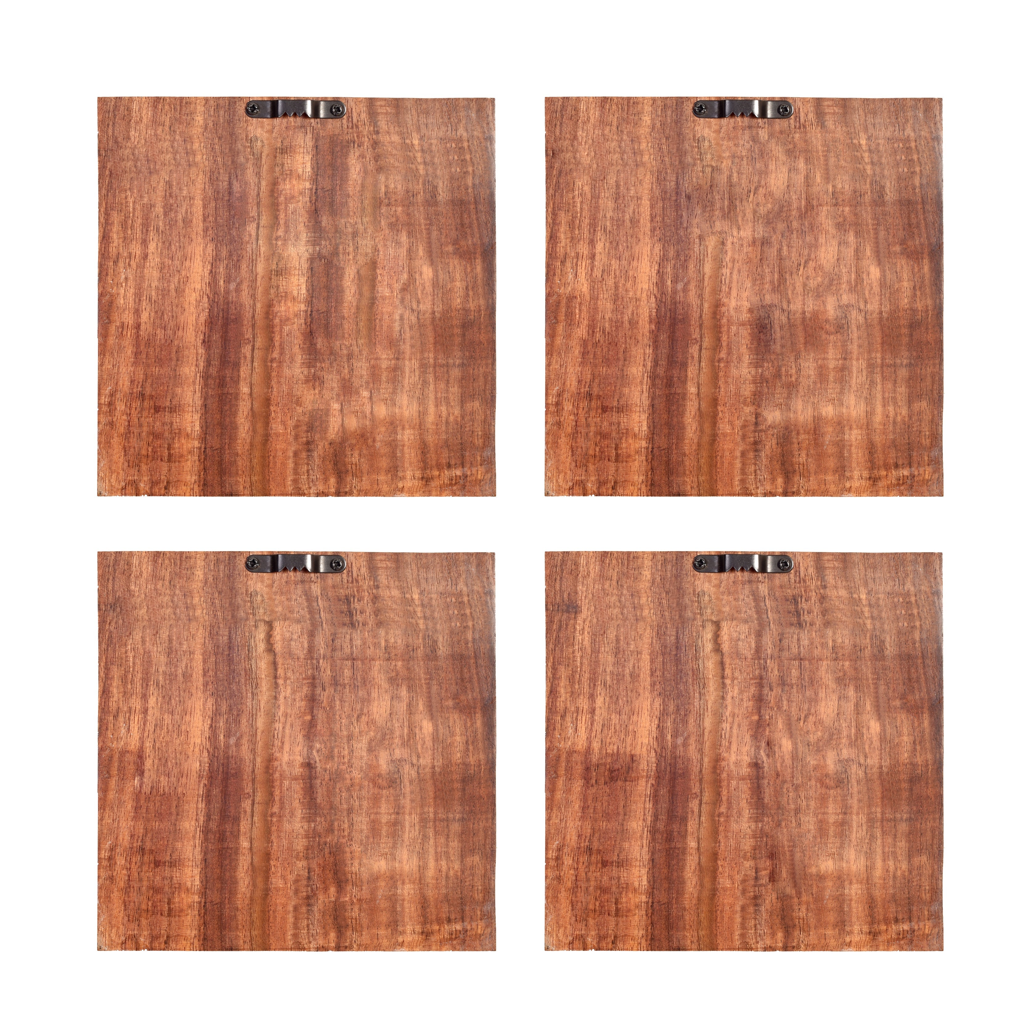 Cleo Wall decor frames with beautiful Birds paintings- So4