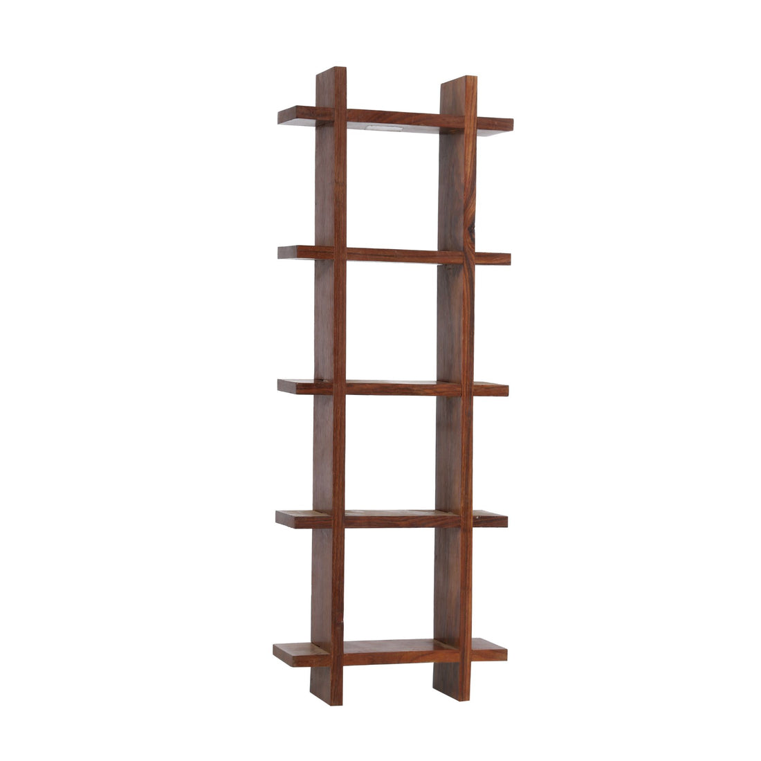 Wall Decor Ladder with 5 pots