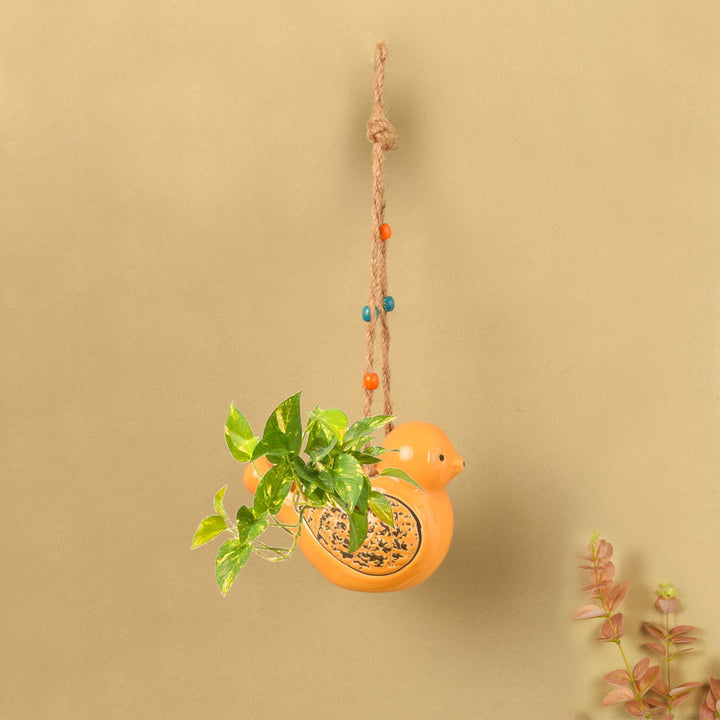 Sunny Songbird Hanging Planter