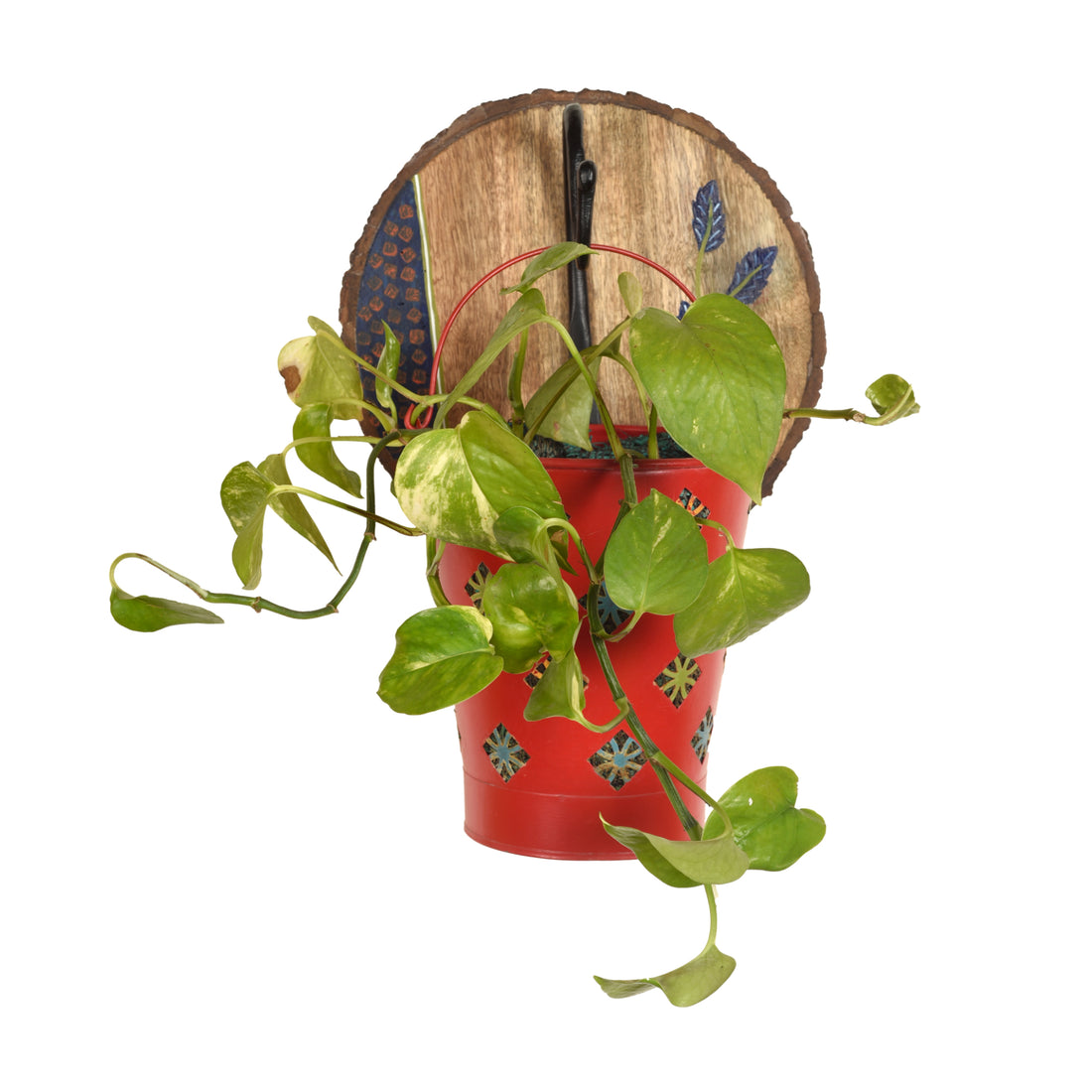 Red Bucket Metal Planter on a Round Wall Hook