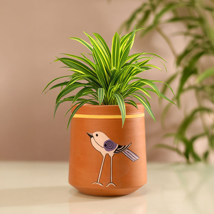 Koyal Songbird Tall Terracotta Cachepot