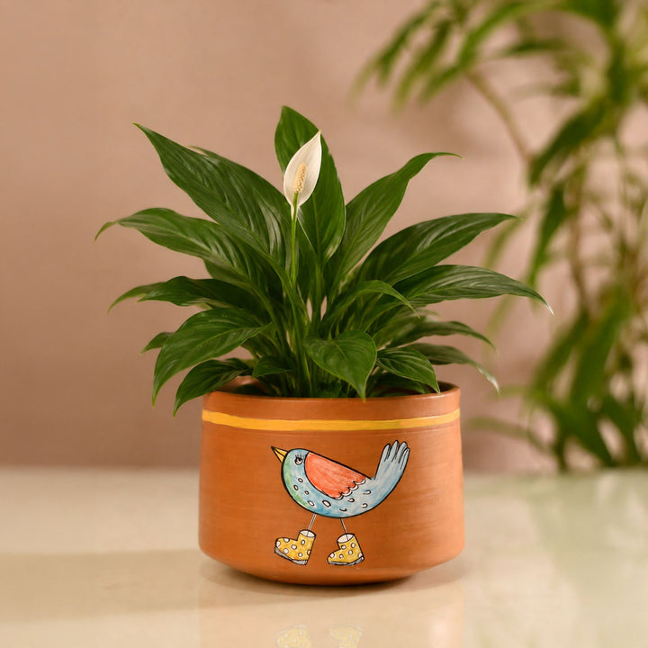 Chidiya & Chicks Terracotta Cachepot