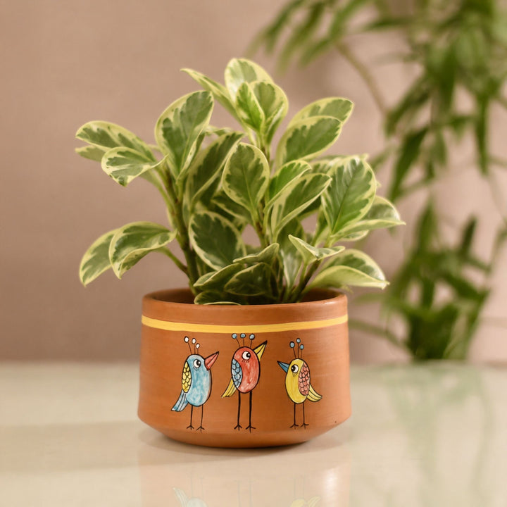 Teen Chidiya Trio-Bird Terracotta Cachepot