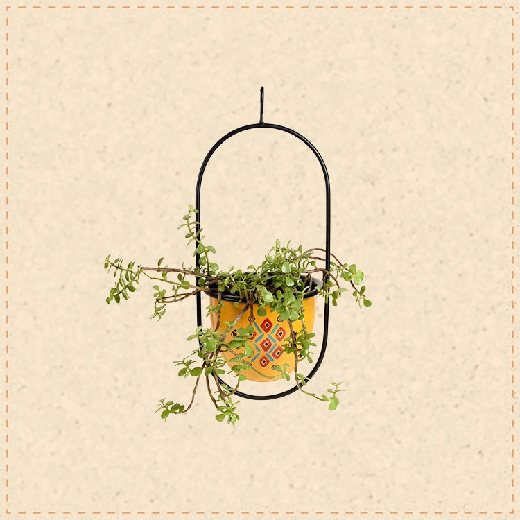 Yellow Hanging Planter (7x6x17)