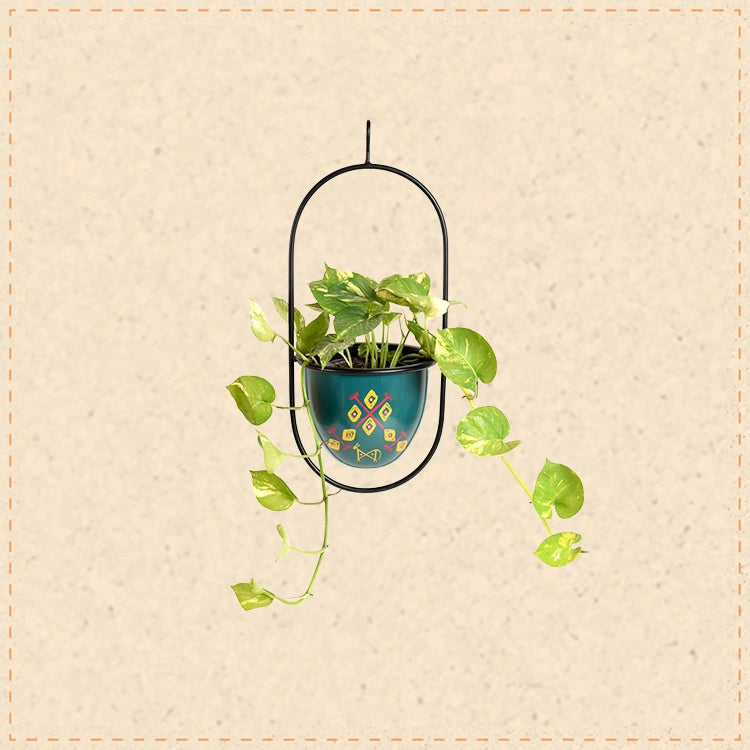 Blue Hanging Planter (7x6x17)